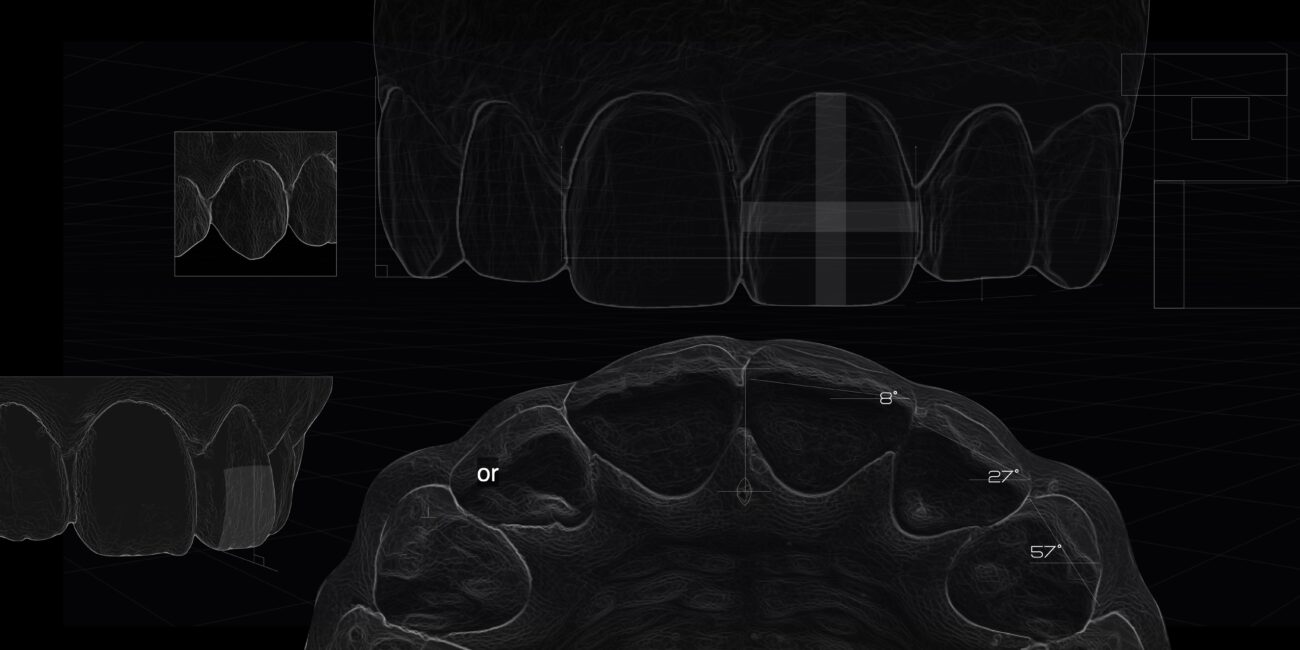 Anterior Morphology from a biological and evolutionary perspective with ...
