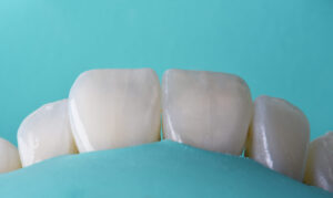 DSC_0566AA-1-1536x914